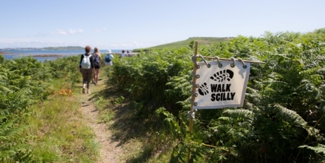 Read More About Walk Scilly 2019